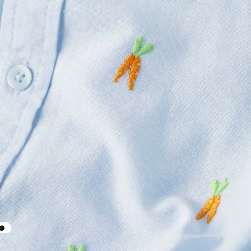 Gymboree boys size